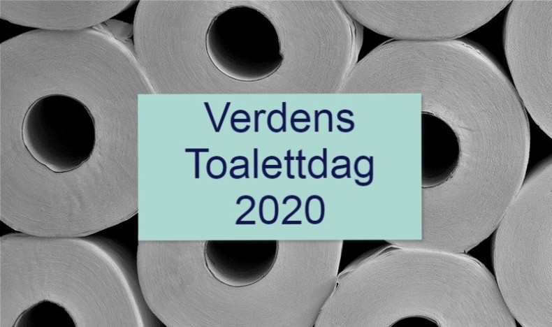 Verdens Toalettdag 2020 
