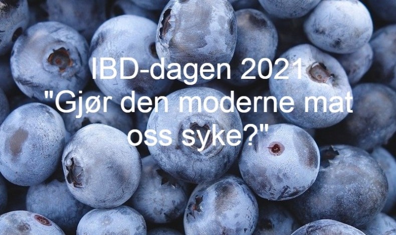 IBD-dagen 2021: Gjør den moderne mat oss syke?  